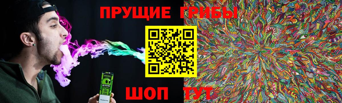 Псилоцибиновые грибы мицелий  Псилоцибиновые грибы Psilocybe  Уварово  Вход с VPN 