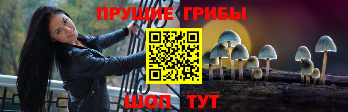 Галлюциногенные грибы Psilocybe Уварово